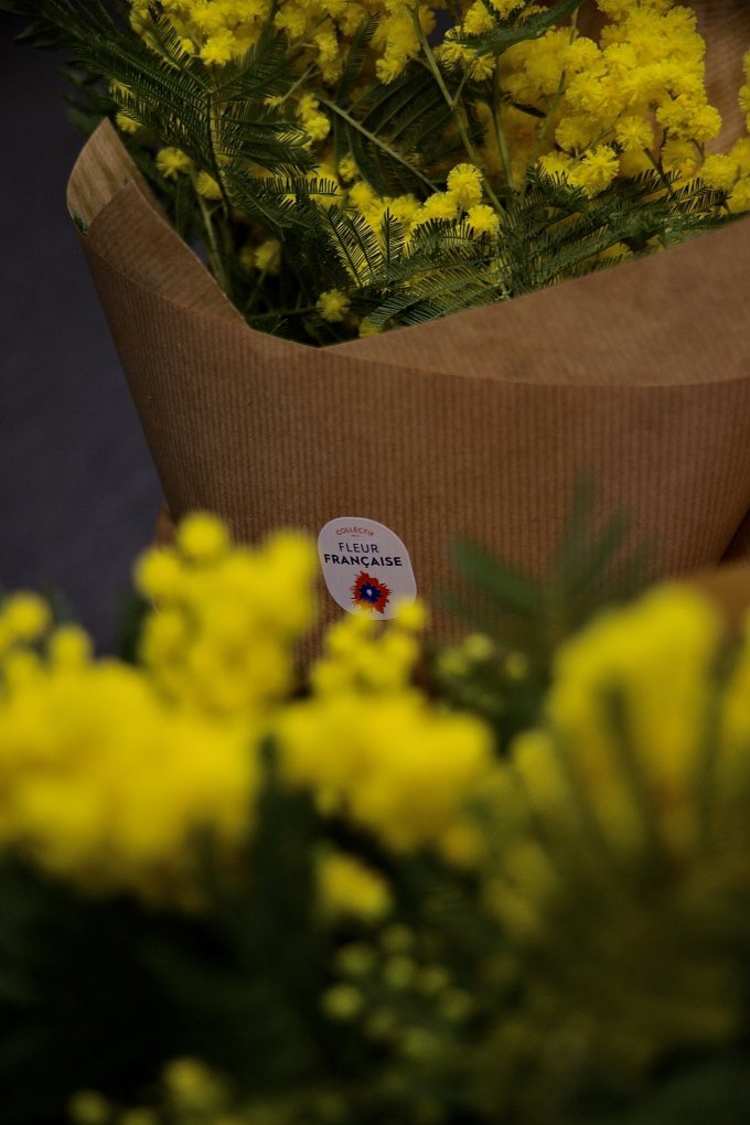 Douceur et couleurs photo 12